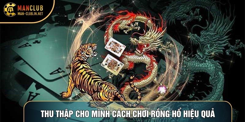 Thu thập cho mình cách chơi rồng hổ hiệu quả