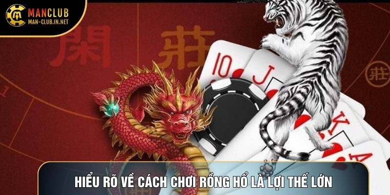 Hiểu rõ về cách chơi rồng hổ là lợi thế lớn