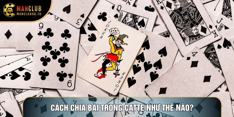 Cách chia bài trong Catte như thế nào?