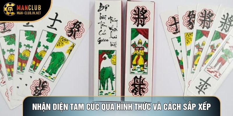 Nhận diện tam cúc qua hình thức và cách sắp xếp